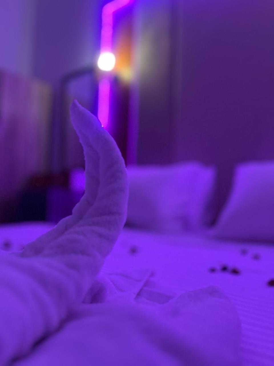 Future Hostel القاهرة المظهر الخارجي الصورة