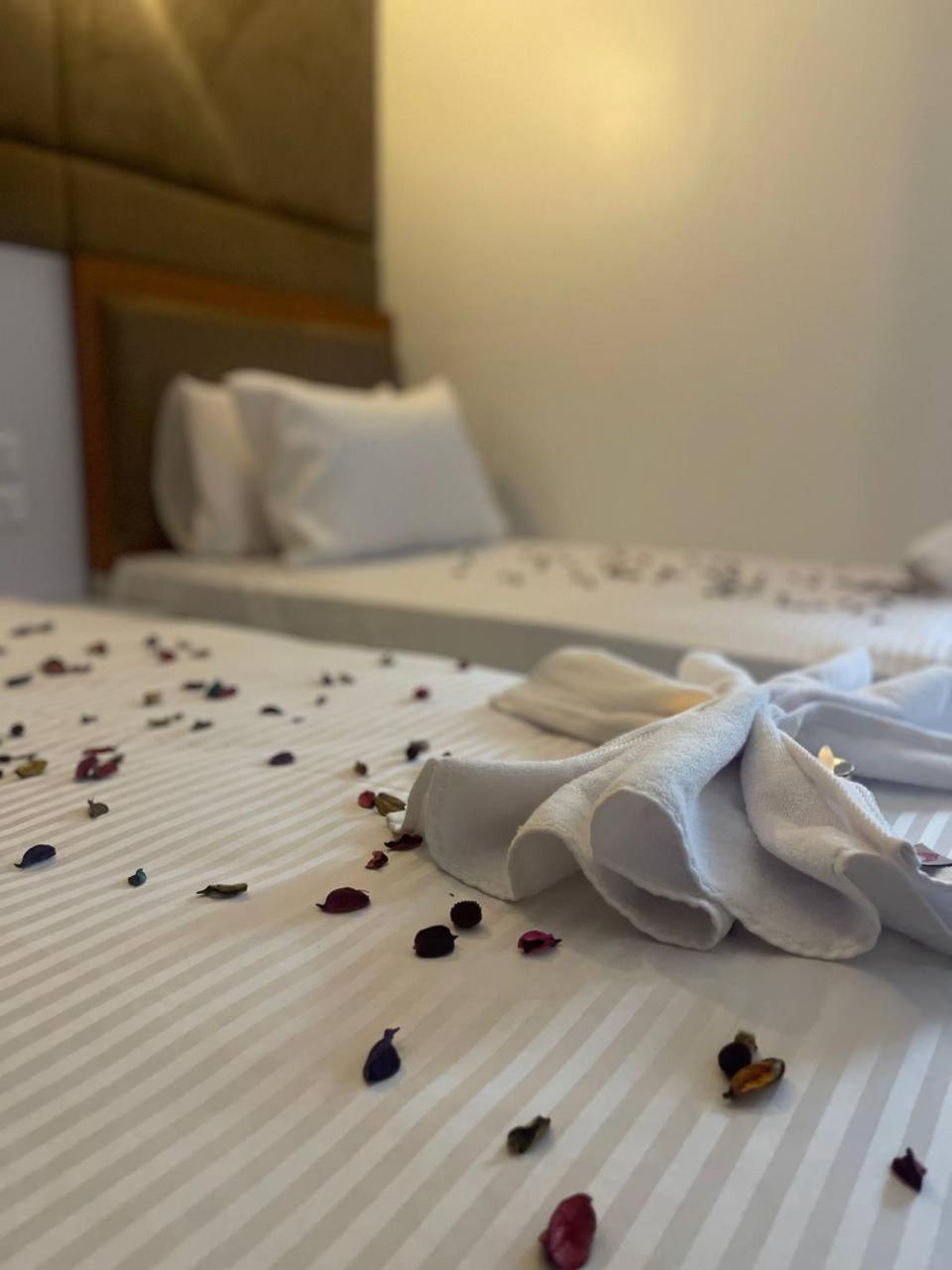 Future Hostel القاهرة المظهر الخارجي الصورة