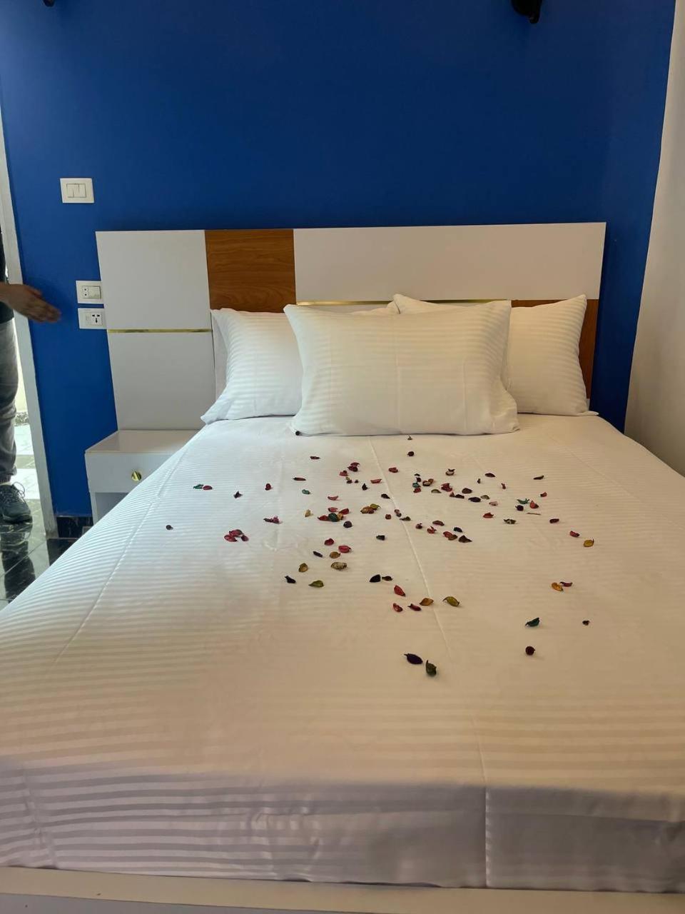 Future Hostel القاهرة المظهر الخارجي الصورة