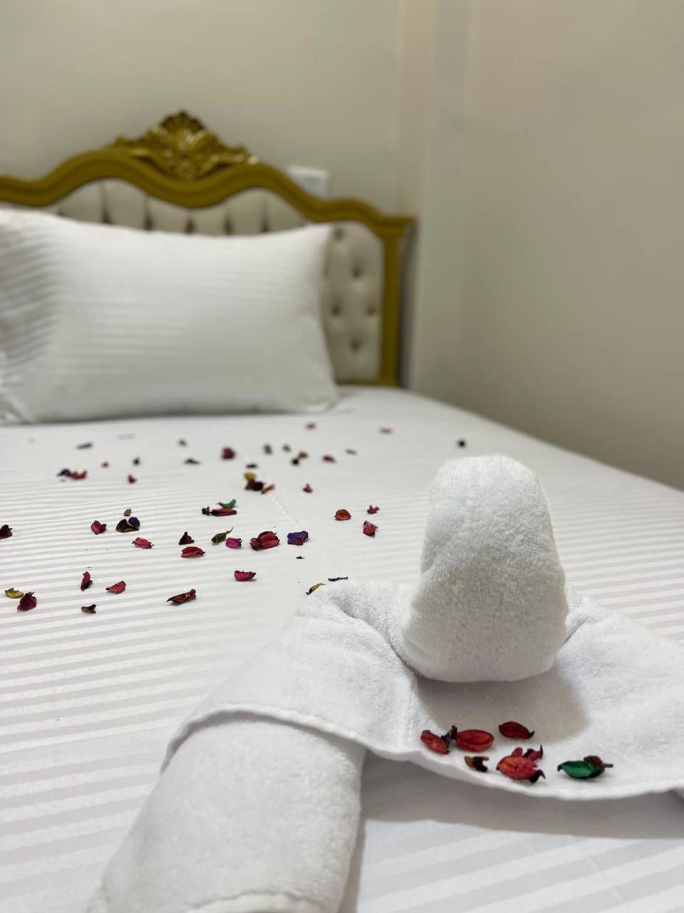Future Hostel القاهرة المظهر الخارجي الصورة